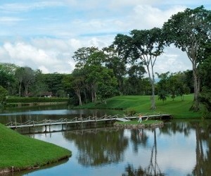 Campos de Golf (Trángulo del Café).  Fuente: www.campestrepereira.com